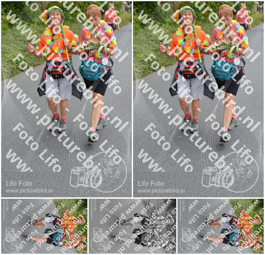 Evenement foto: Nijmeegse Vierdaagse 981