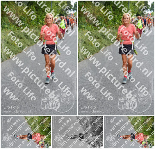 Evenement foto: Nijmeegse Vierdaagse 981