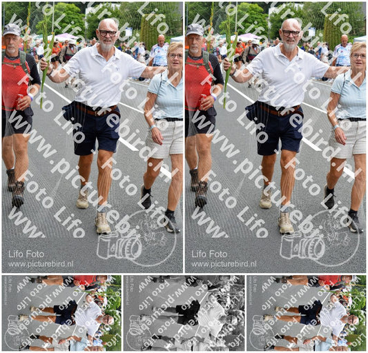 Evenement foto: Nijmeegse Vierdaagse 981