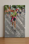 Evenement foto: Nijmeegse Vierdaagse 981