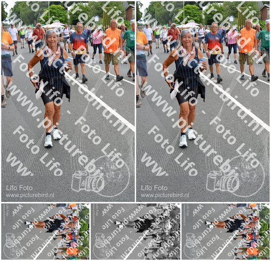 Evenement foto: Nijmeegse Vierdaagse 981