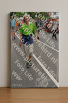 Evenement foto: Nijmeegse Vierdaagse 981