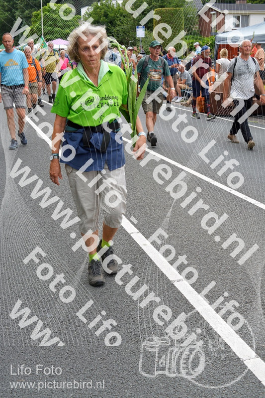 Evenement foto: Nijmeegse Vierdaagse 981