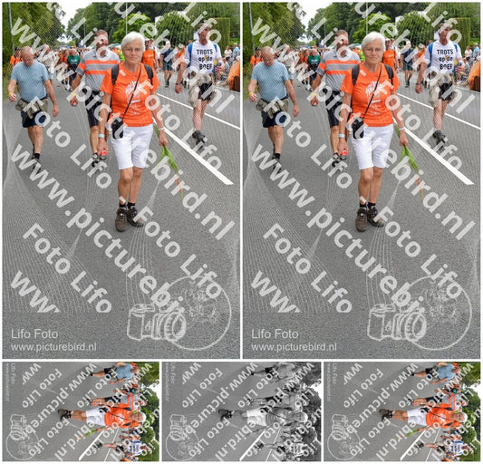 Evenement foto: Nijmeegse Vierdaagse 981