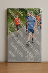 Evenement foto: Nijmeegse Vierdaagse 981