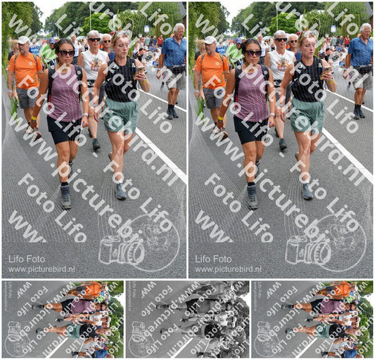 Evenement foto: Nijmeegse Vierdaagse 981