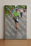 Evenement foto: Nijmeegse Vierdaagse 981