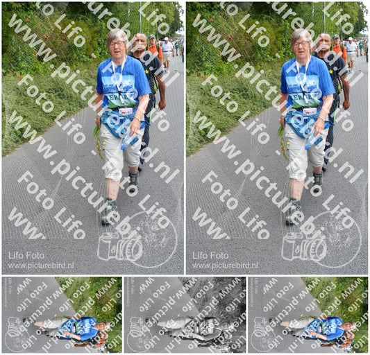 Evenement foto: Nijmeegse Vierdaagse 981