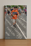 Evenement foto: Nijmeegse Vierdaagse 981