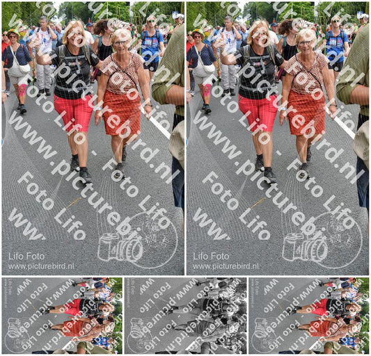 Evenement foto: Nijmeegse Vierdaagse 981