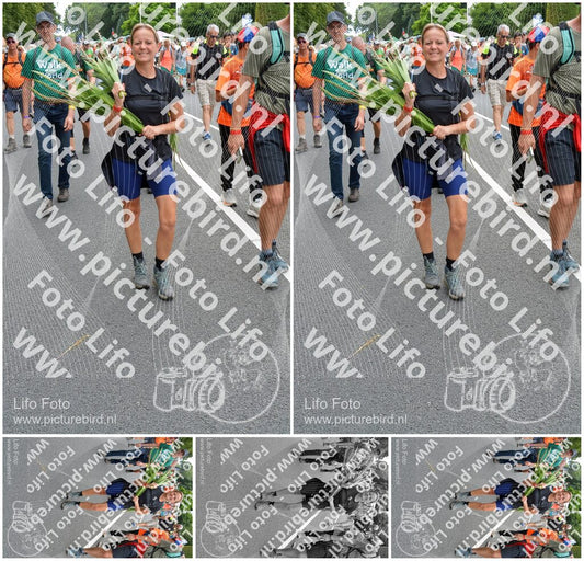 Evenement foto: Nijmeegse Vierdaagse 981
