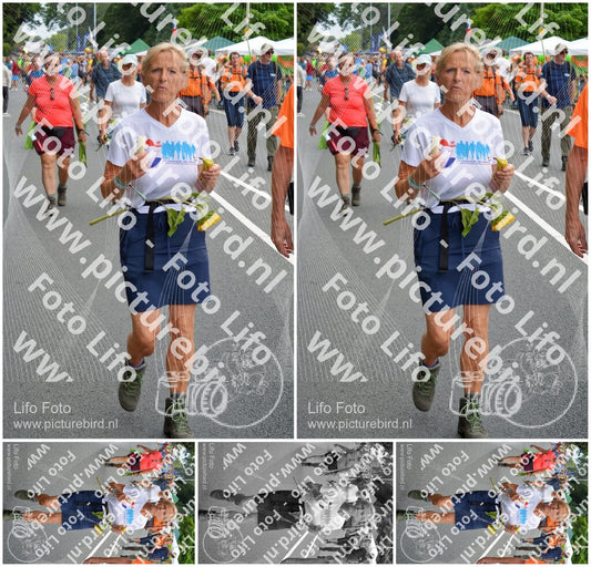 Evenement foto: Nijmeegse Vierdaagse 980