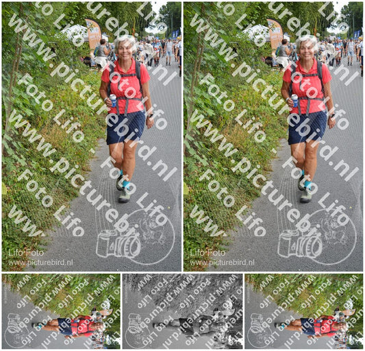 Evenement foto: Nijmeegse Vierdaagse 980