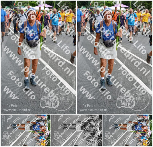 Evenement foto: Nijmeegse Vierdaagse 980