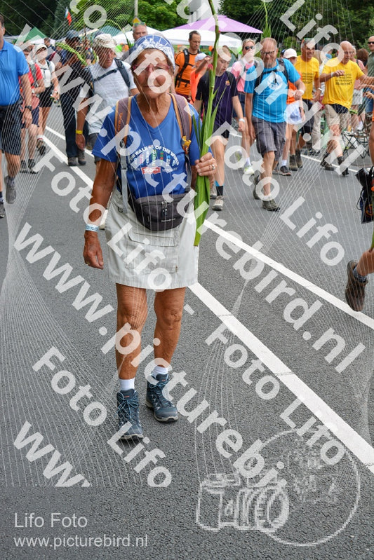 Evenement foto: Nijmeegse Vierdaagse 980