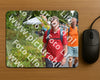 Evenement foto: Nijmeegse Vierdaagse 980