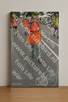 Evenement foto: Nijmeegse Vierdaagse 980