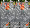 Evenement foto: Nijmeegse Vierdaagse 980