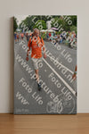 Evenement foto: Nijmeegse Vierdaagse 980