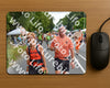 Evenement foto: Nijmeegse Vierdaagse 980