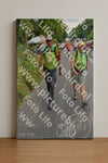 Evenement foto: Nijmeegse Vierdaagse 980