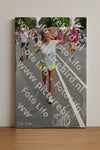 Evenement foto: Nijmeegse Vierdaagse 980