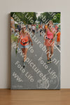 Evenement foto: Nijmeegse Vierdaagse 980