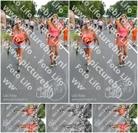 Evenement foto: Nijmeegse Vierdaagse 980
