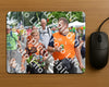 Evenement foto: Nijmeegse Vierdaagse 980