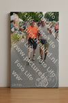 Evenement foto: Nijmeegse Vierdaagse 980
