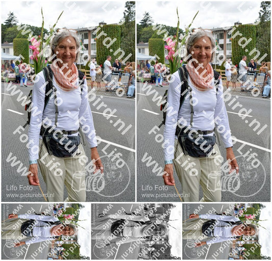 Evenement foto: Nijmeegse Vierdaagse 980