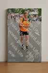 Evenement foto: Nijmeegse Vierdaagse 980