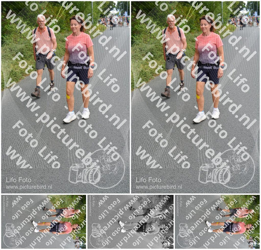 Evenement foto: Nijmeegse Vierdaagse 980