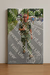 Evenement foto: Nijmeegse Vierdaagse 980