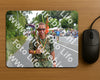 Evenement foto: Nijmeegse Vierdaagse 980