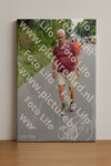 Evenement foto: Nijmeegse Vierdaagse 980