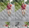 Evenement foto: Nijmeegse Vierdaagse 980