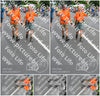 Evenement foto: Nijmeegse Vierdaagse 980