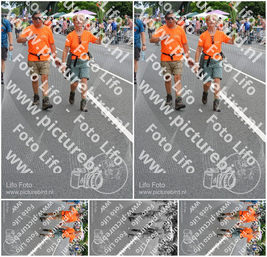 Evenement foto: Nijmeegse Vierdaagse 980