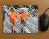 Evenement foto: Nijmeegse Vierdaagse 980
