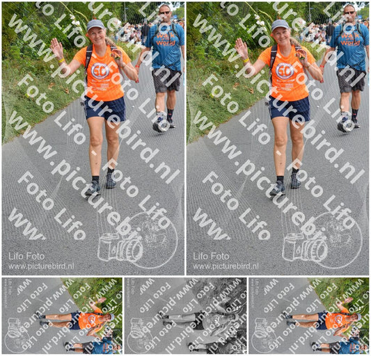 Evenement foto: Nijmeegse Vierdaagse 980