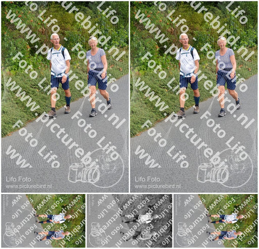 Evenement foto: Nijmeegse Vierdaagse 980