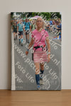 Evenement foto: Nijmeegse Vierdaagse 980