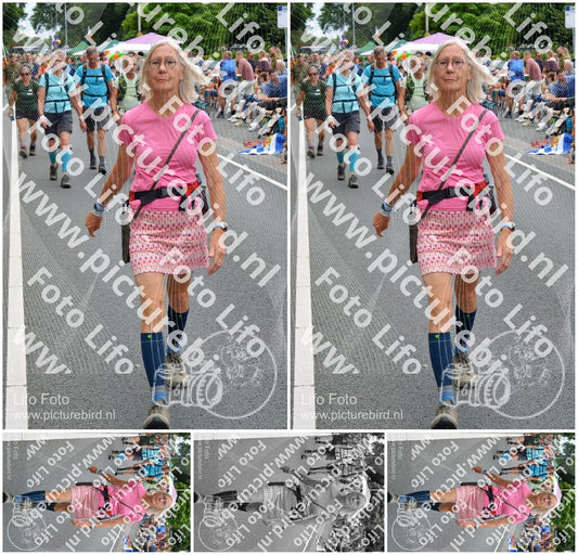 Evenement foto: Nijmeegse Vierdaagse 980
