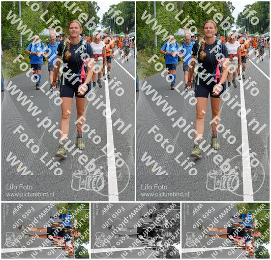 Evenement foto: Nijmeegse Vierdaagse 980
