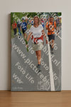 Evenement foto: Nijmeegse Vierdaagse 980