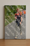 Evenement foto: Nijmeegse Vierdaagse 980