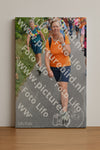 Evenement foto: Nijmeegse Vierdaagse 980