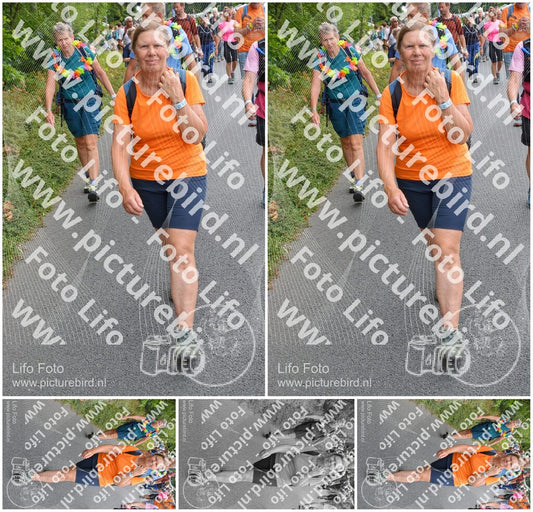 Evenement foto: Nijmeegse Vierdaagse 980