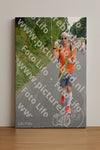 Evenement foto: Nijmeegse Vierdaagse 979